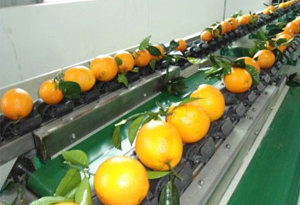 果叶理量分选机